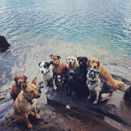 Adventure Hike - Single